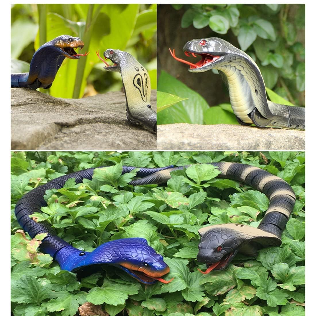 Remote Control Cobra